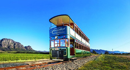 Wine Tram Experience in Franshoek