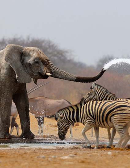 Namibia