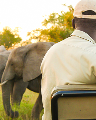 Wildlife Tour